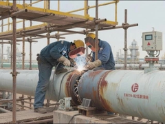 Elektroden voor het lassen van laaggelegeerd staal