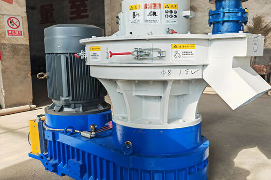 22kW Biomassa Briquette Maker met lage geluidsdruk voor schoolverwarming