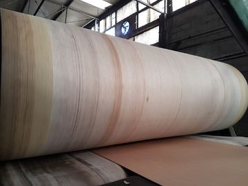 De Riem Hoge Duurzaamheid van Corrugator van de Aramidrand voor BHS, FOSBER, MARQUIP Golflijn
